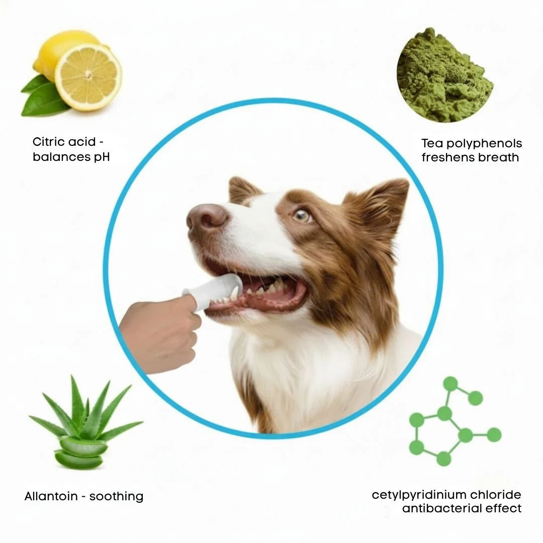 FreshWipes-pakkaus – Suojaa koiraa hammassairauksilta