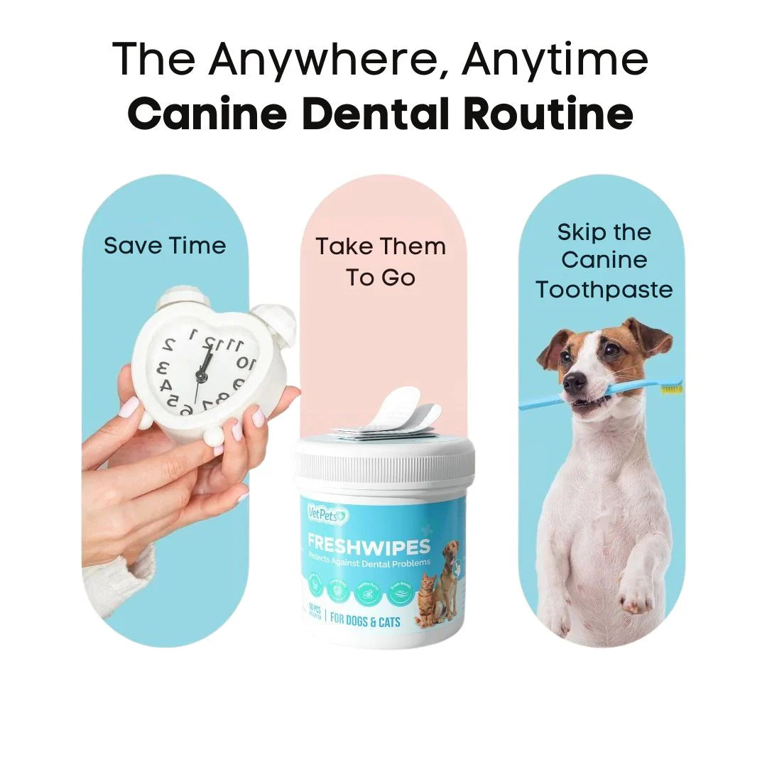 FreshWipes-pakkaus – Suojaa koiraa hammassairauksilta