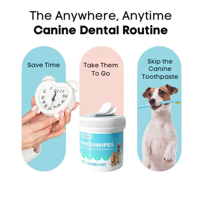 FreshWipes-pakkaus – Suojaa koiraa hammassairauksilta
