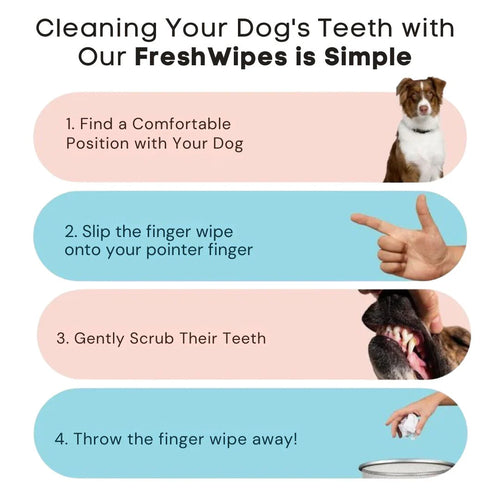 FreshWipes-pakkaus – Suojaa koiraa hammassairauksilta