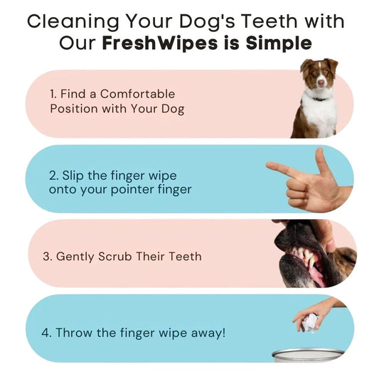 FreshWipes-pakkaus – Suojaa koiraa hammassairauksilta
