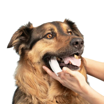 FreshWipes-pakkaus – Suojaa koiraa hammassairauksilta